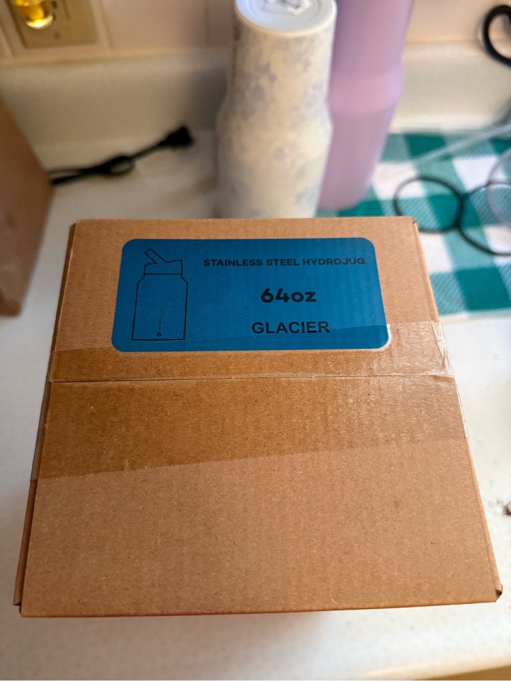 NWT 64oz Stainless Steel HydroJug - Glacier